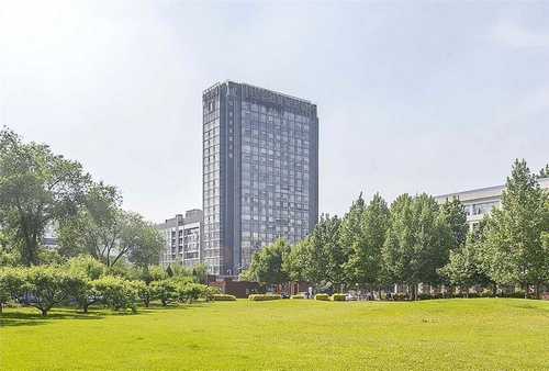 金山区小型提升输送机厂商